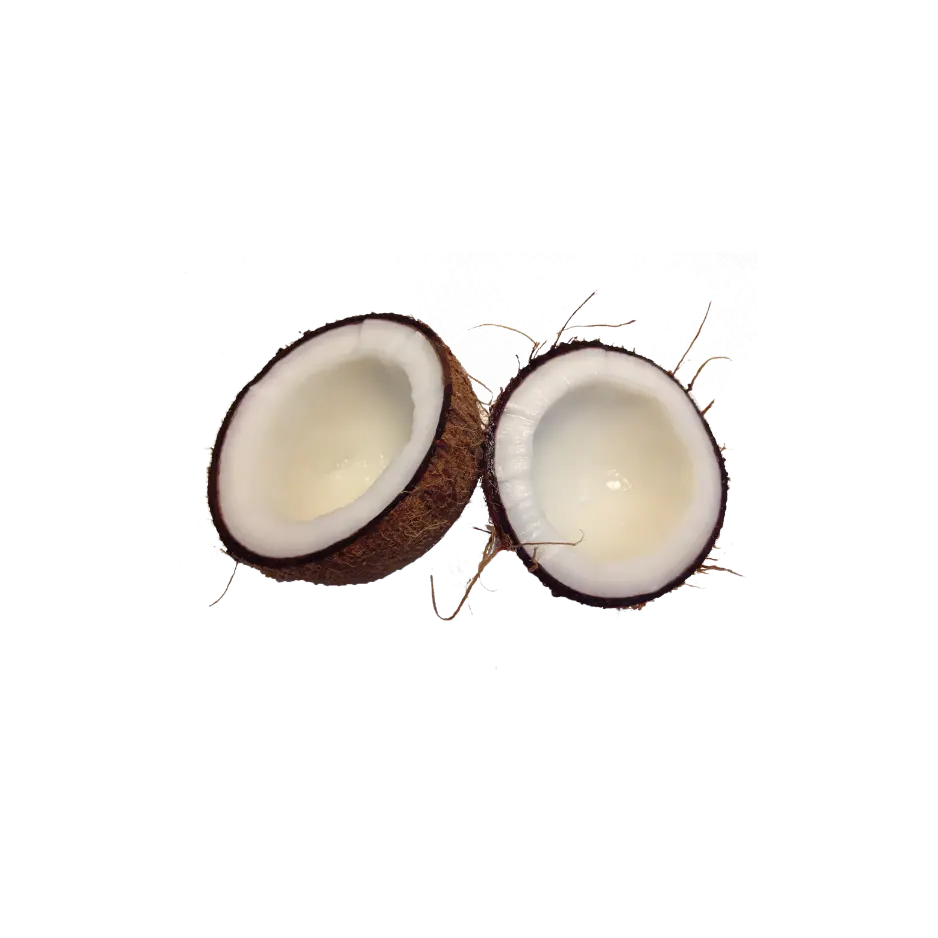 COCONUT