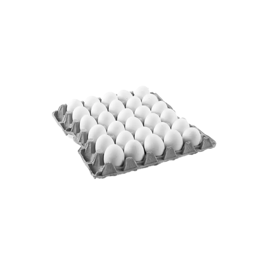 30 UNIT TRAY WHITE EGGS