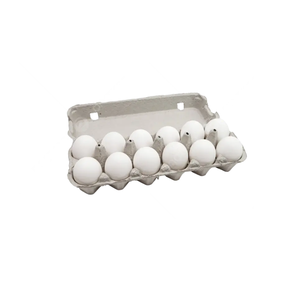DOZEN WHITE EGGS