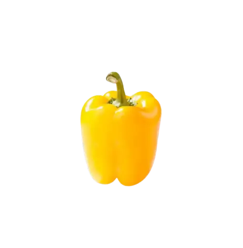YELLOW BELL PEPPER